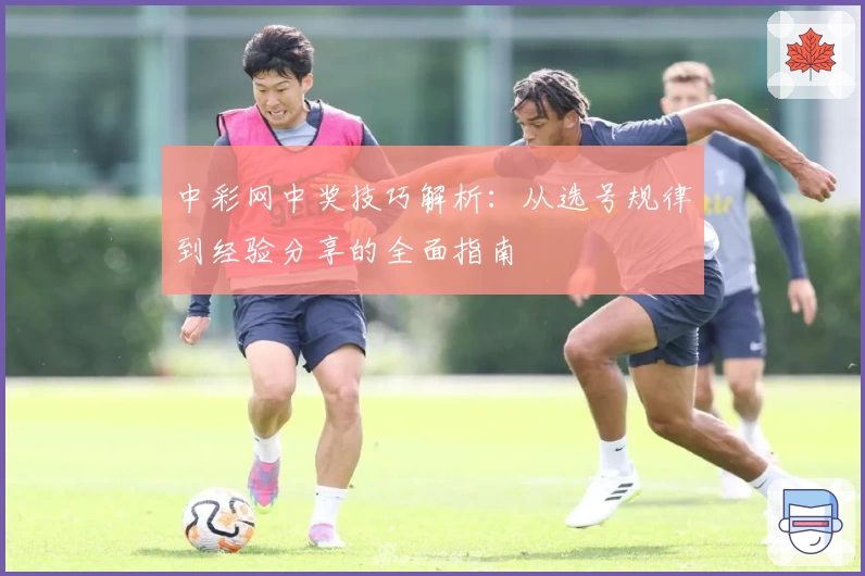 中彩网中奖技巧解析：从选号规律到经验分享的全面指南