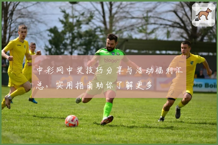 中彩网中奖技巧分享与活动福利汇总,实用指南助你了解更多