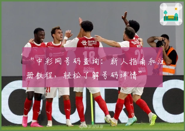 “中彩网号码查询:新人指南和注册教程,轻松了解号码详情”