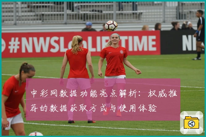 中彩网数据功能亮点解析：权威推荐的数据获取方式与使用体验