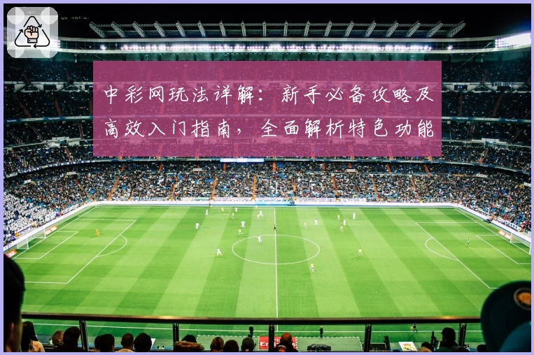 中彩网玩法详解:新手必备攻略及高效入门指南,全面解析特色功能与实用技巧