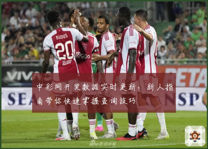 中彩网开奖数据实时更新，新人指南带你快速掌握查询技巧