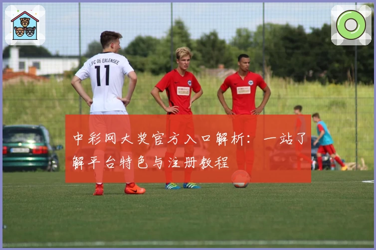 中彩网大奖官方入口解析：一站了解平台特色与注册教程