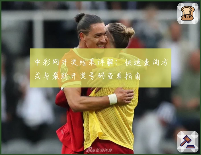 中彩网开奖结果详解：快速查询方式与最新开奖号码查看指南
