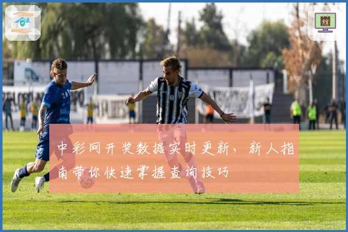 中彩网开奖数据实时更新，新人指南带你快速掌握查询技巧