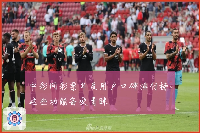 中彩网彩票年度用户口碑排行榜，这些功能备受青睐